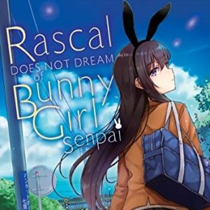 Rascal Does Not Dream of Bunny Girl Senpai Figures